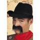 Moustaches postiches Gringo