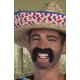 Moustaches postiches Mexicain