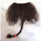 Barbe postiche