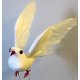 Colombe en vol