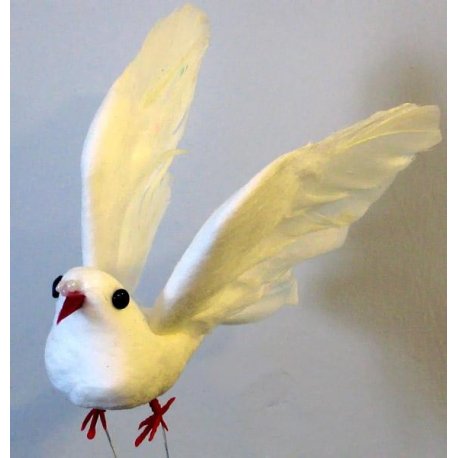 Colombe en vol