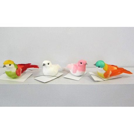 Oiseaux de couleurs n°2