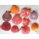 Coquilles st jacques de couleurs