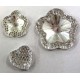 Fleurs brillantes