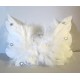 Ailes d'ange blanc