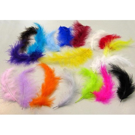 Plumes de couleurs