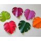 Feuilles bicolores