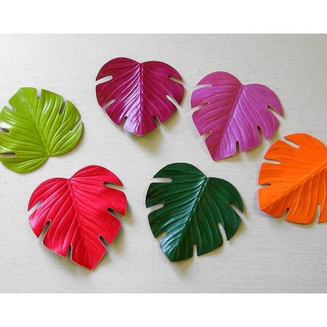 Feuilles bicolores