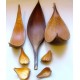 Feuilles barques naturelles