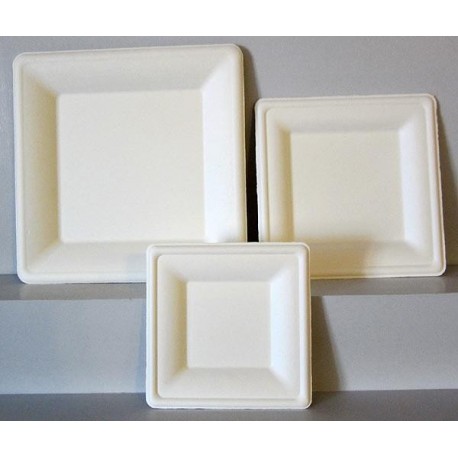 Assiette carrées bio-dégradables