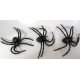 Araignées halloween