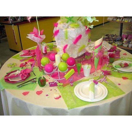 Déco table Fushia / Anis