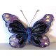 Papillon velours