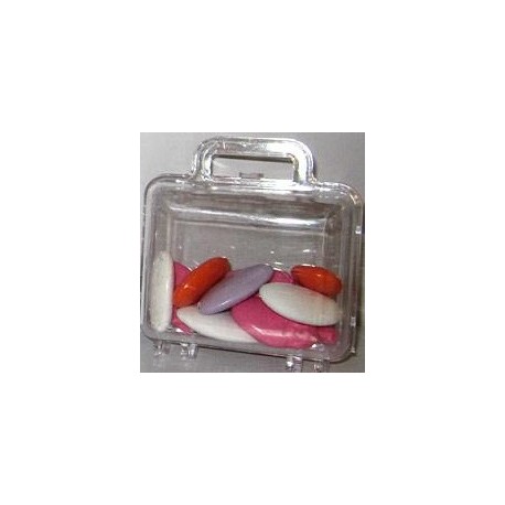 VALISE PLEXI