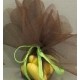 Tulles festonnés 25 cm n°2