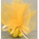 Tulles festonnés 25 cm n°2