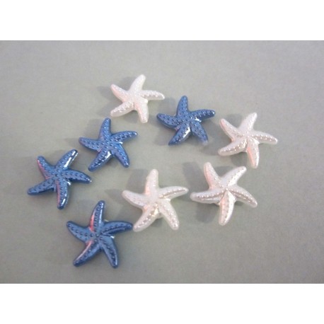 Minis Etoiles de mer
