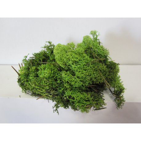 Mousse Finlandaise pour decor