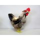 La poulette 15 cm