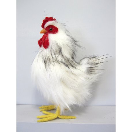 Belle Poule 23 cm