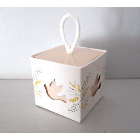 boite colombe