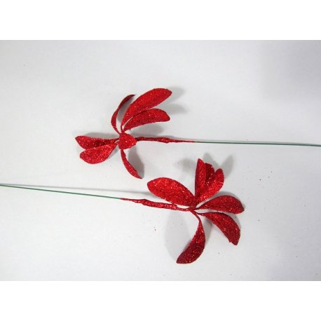 Fleurs de noël Corail ou Vert