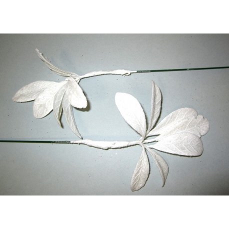 Fleurs de noël Corail ou Vert