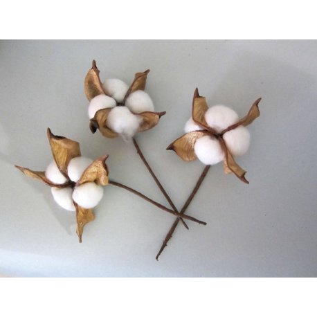 Fleurs de noël Corail ou Vert