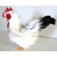 Beau Coq 24 cm