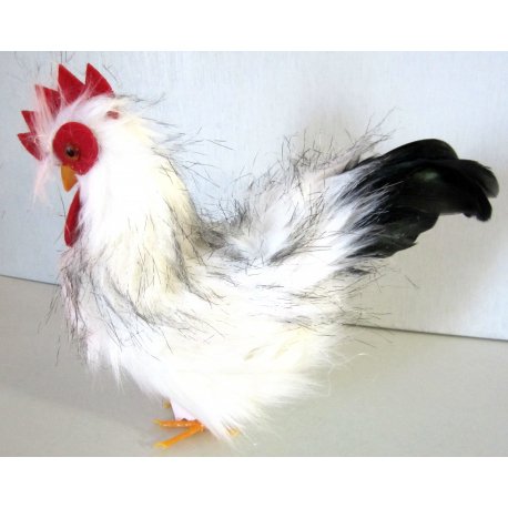 Beau Coq 24 cm