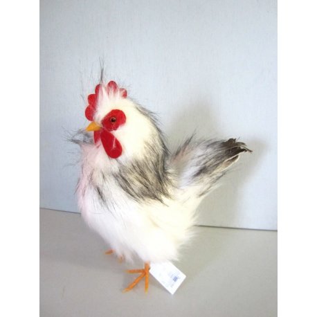 Grande poule blanche