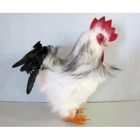 Grande poule blanche