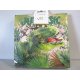 Serviettes Ballerine