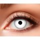 Lentilles Zombie