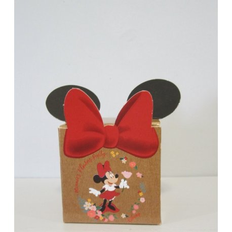 Boite Minnie