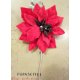 poinsettia