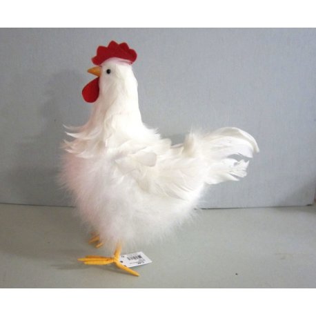 poule
