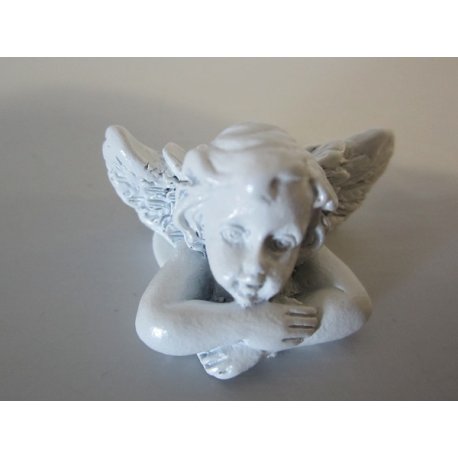 6 Tete d'anges blanches