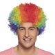 Perruque POP multicolore