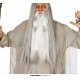 Belle barbe grise