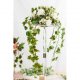 Guirlande Lierre