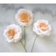 3 Fleurs ivoire/saumon