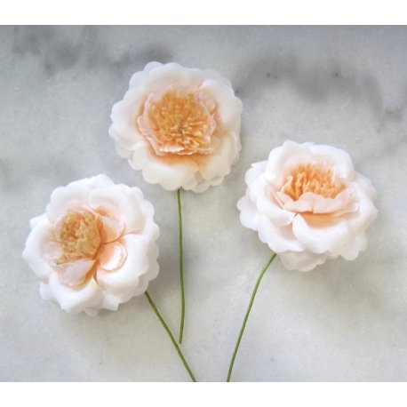 3 Fleurs ivoire/saumon