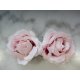 2 Roses à poser Blanche ou Rose