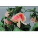 Guirlande de roses des vignes 220 cms