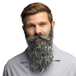 Barbe Classique Grise