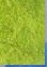 CITRON VERT NDL