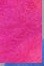 FUSHIA NDL