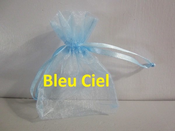Bleu Ciel organdi