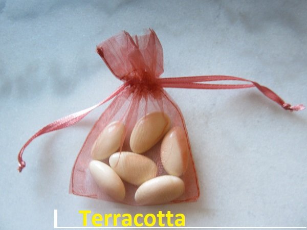 Terracotta organdi